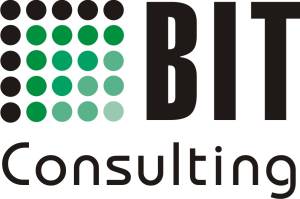 logo bit consulting